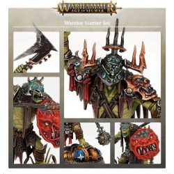 Warhammer Age of Sigmar: Set d'Initiation Guerrier