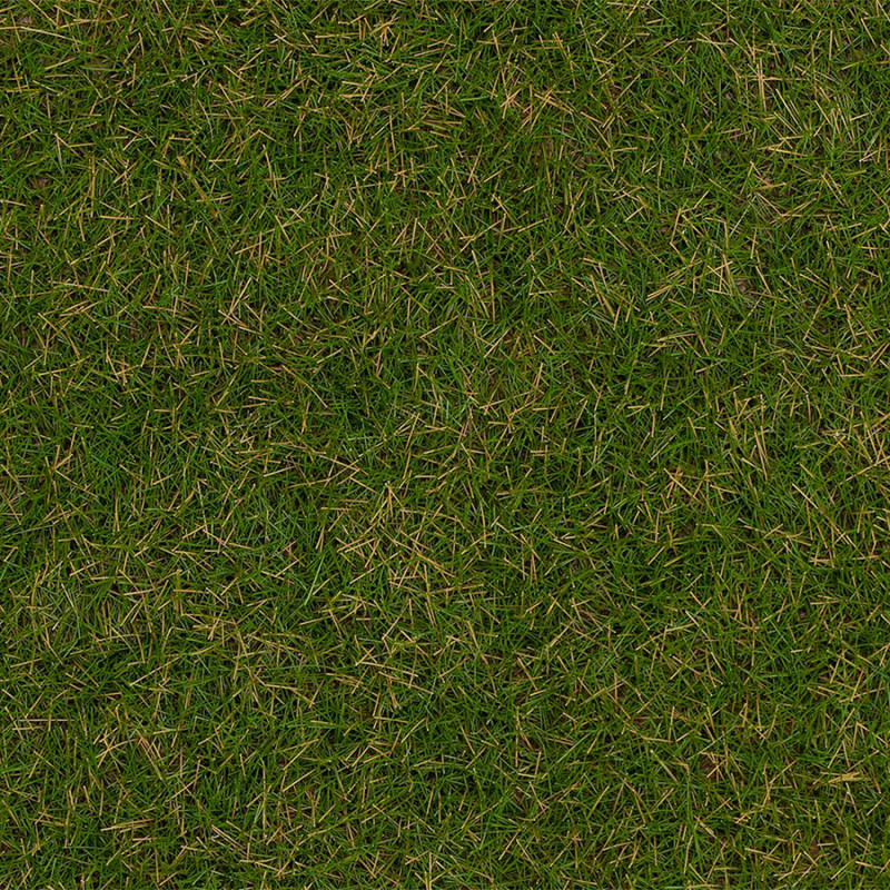 Faller 170232 - Fibres de flocage herbes sauvages, Prairie d'été, 4 mm, 80 g