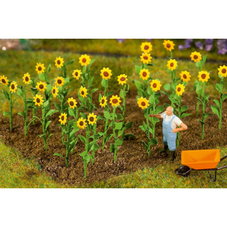 Faller 181256 - 16 Tournesols