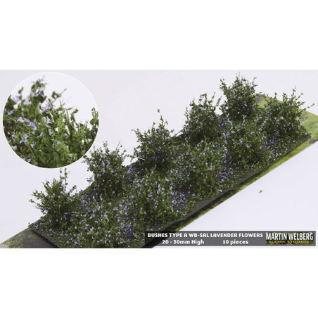 Martin Welberg WB-SAL -  Sträucher, Lavendel