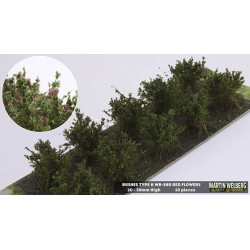 Martin Welberg WB-SAR -  Sträucher, Rot