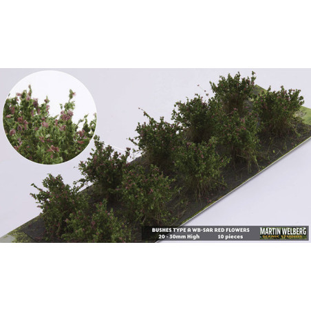 Martin Welberg WB-SAR -  Sträucher, Rot