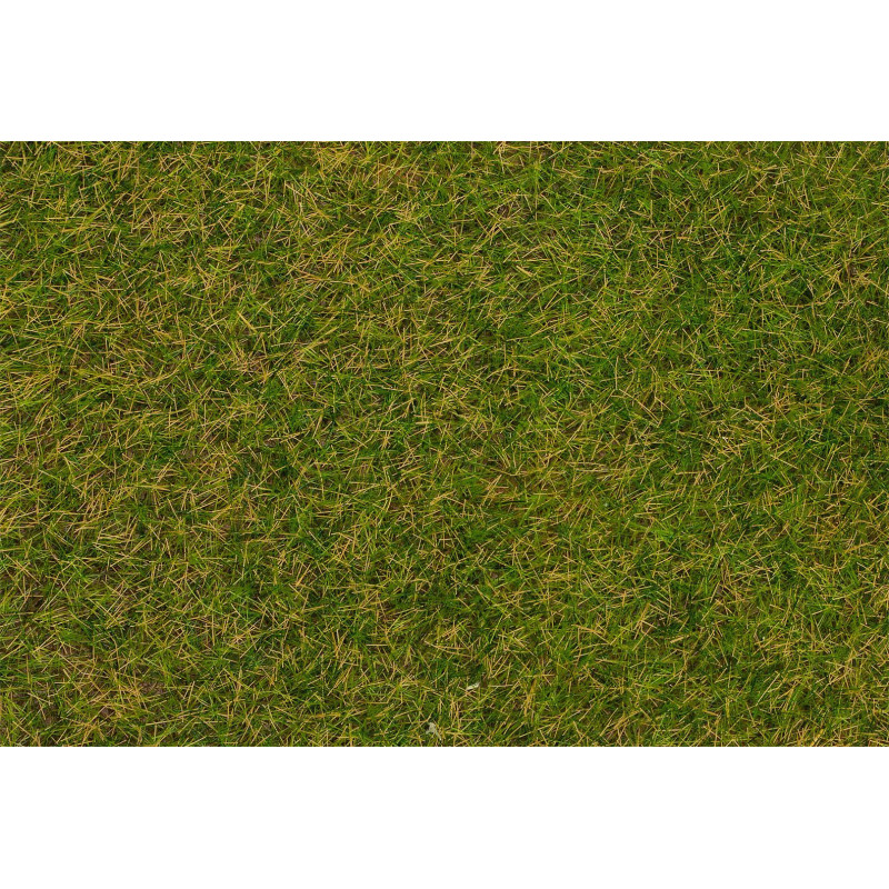 Faller 170206 - Fibres de flocage herbes sauvages, Prairie au début de l'été, 4 mm, 30 g
