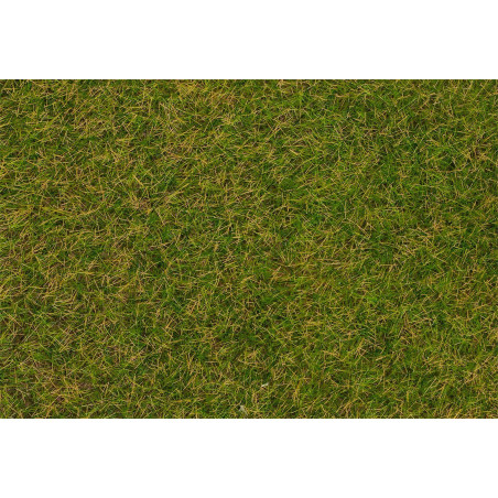 Faller 170206 - Fibres de flocage herbes sauvages, Prairie au début de l'été, 4 mm, 30 g