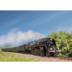 Marklin 38141 - Dampflokomotive 141.R.1244 - patinierte Boutique Train