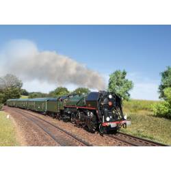 Marklin 38141 - Dampflokomotive 141.R.1244 - patinierte Boutique Train