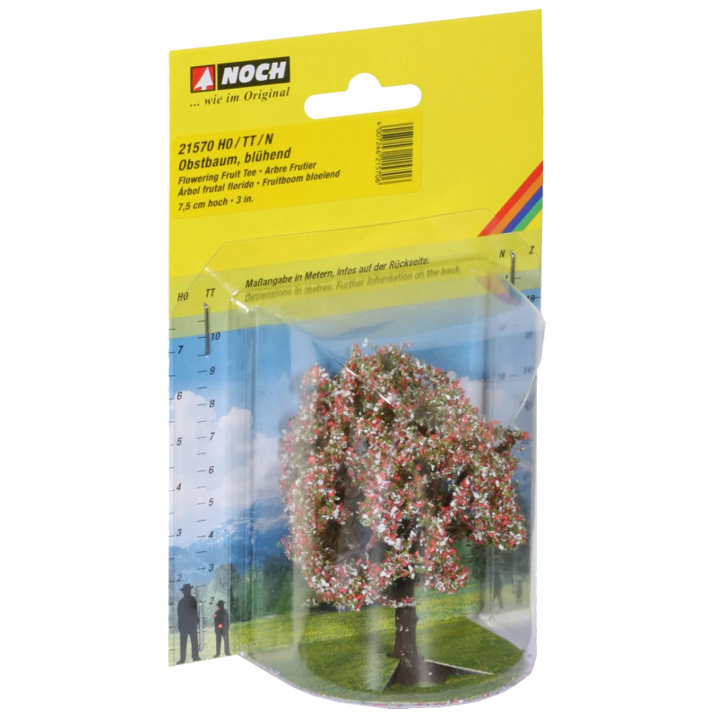 Noch 21570 - Arbre fruitier