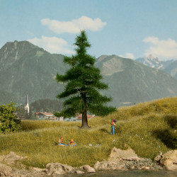 Noch 21810 - Sapin de Nordmann