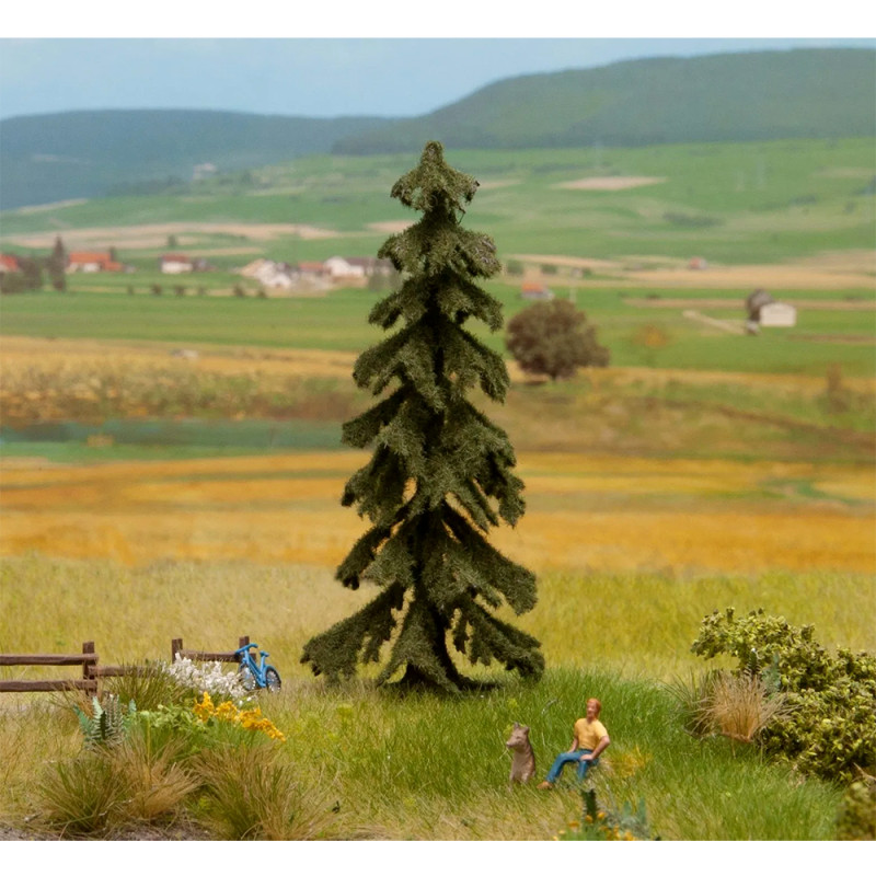 Noch 21919 - Wetterfichte