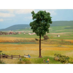 Noch 21914 - Pine Tree