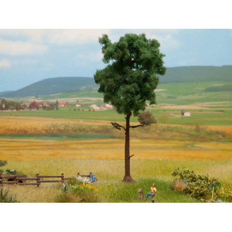 Noch 21914 - Pine Tree