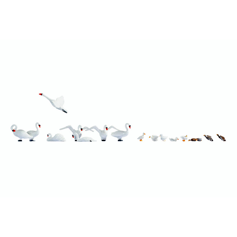 Noch 15774 - Swans and Ducks
