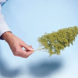 Noch 07142 - Blätter