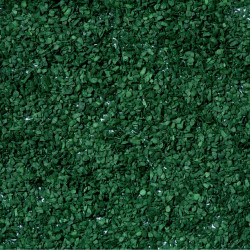 Noch 07146 - Feuilles