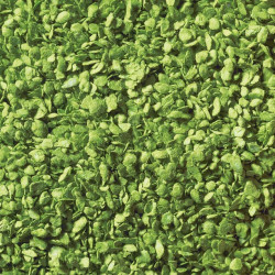 Noch 07167 - Leaf Foliage Set