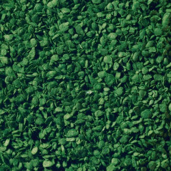 Noch 07167 - Leaf Foliage Set