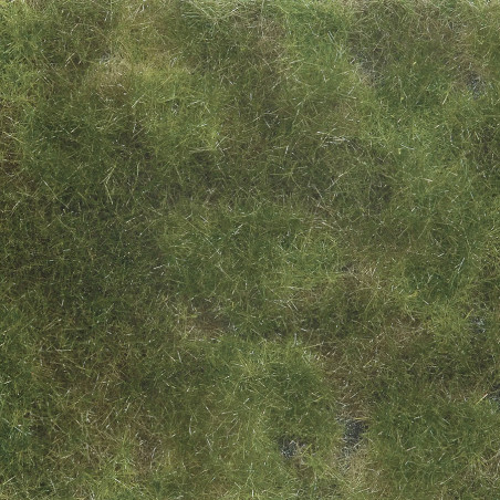Noch 07251 - Feuillage couvre-sol, vert olive