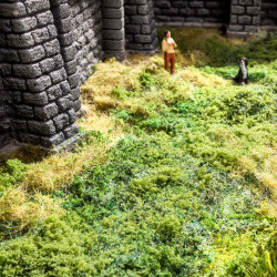 Noch 07271 - Foliage