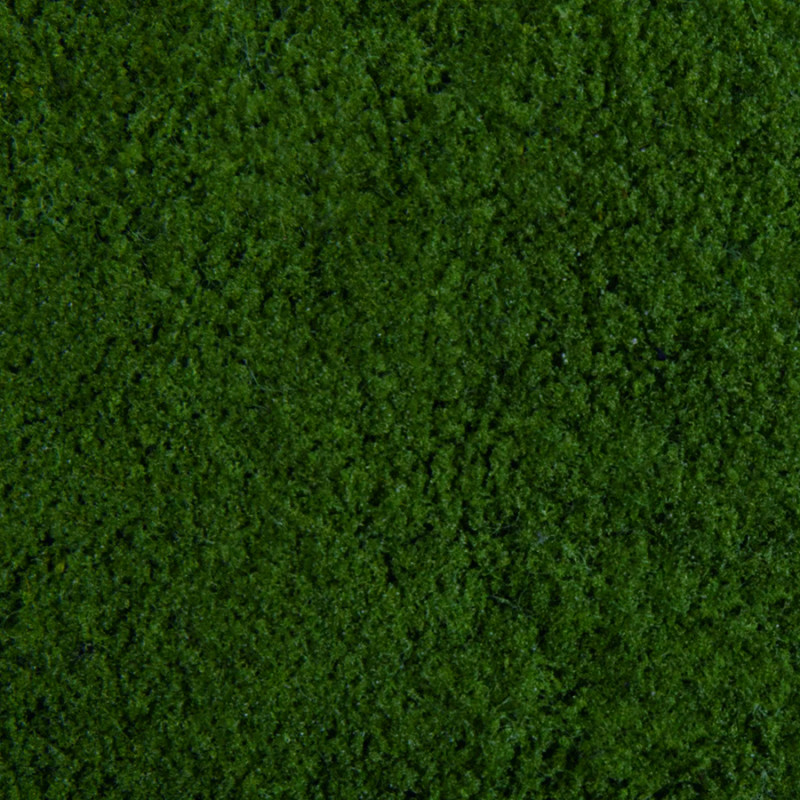 Noch 07271 - Foliage