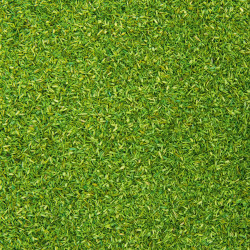 Noch 08410 - Scatter Material