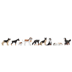 Noch 12852 - Hunde
