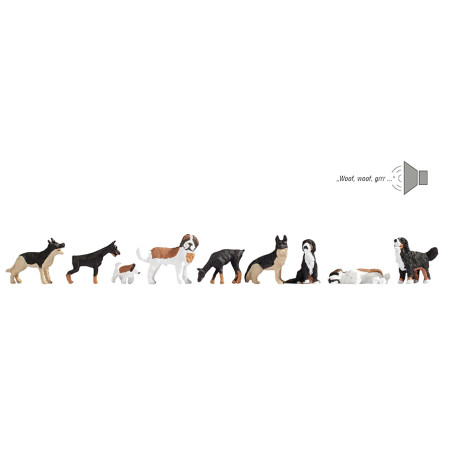 Noch 12852 - Hunde