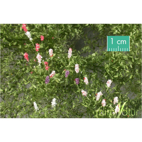 MiniNatur -999-22 S -Fleurs de Lupins  HO/O