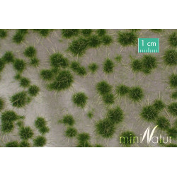 MiniNatur - 737-32 S Karst Tufts Summer