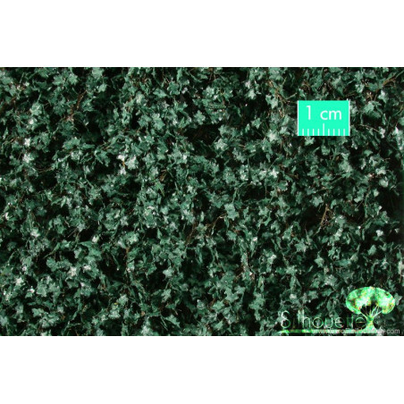 MiniNatur - 936-12 S- Feuilles de lierre fines