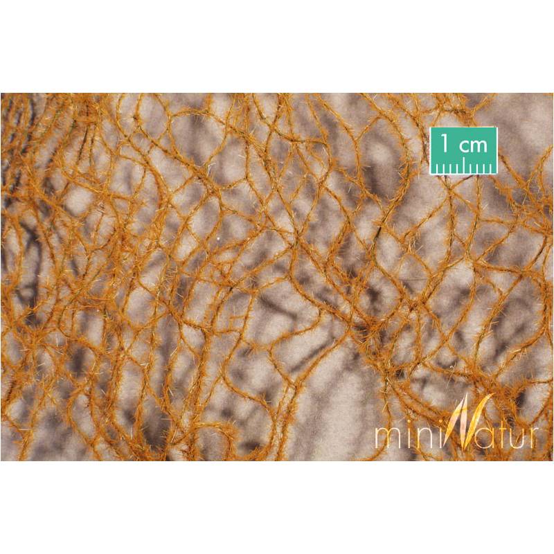 MiniNatur - 990-24 S Horsetail, late fall