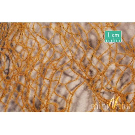 MiniNatur - 990-24 S Horsetail, late fall