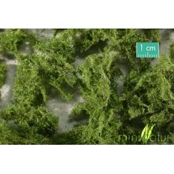 MiniNatur - 993-22S Ground cover, evergreen, light / HO