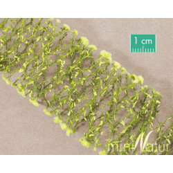 MiniNatur - 997-21S Verge d'or / HO