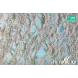 MiniNatur - 992-23S Graue Sauger zum Debüt im Herbst / HO