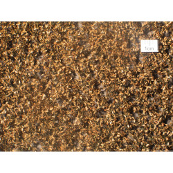 MiniNatur - 980-24 S Oak foliage, late autumn / HO