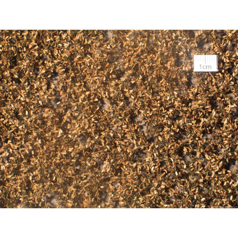 MiniNatur - 980-24 S Oak foliage, late autumn / HO