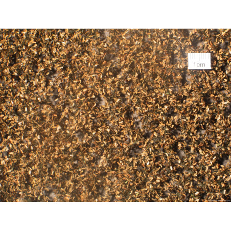 MiniNatur - 980-24 S Oak foliage, late autumn / HO