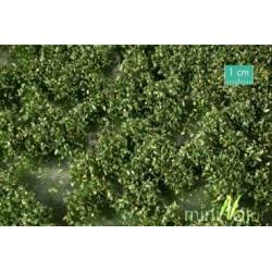 MiniNatur 725-21 MS -Unkrautbüschel, Sommer