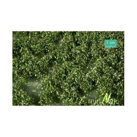 MiniNatur 725-22MS -Touffes de mauvaises herbes, été