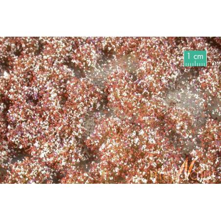 MiniNatur 726-24MS -Touffes de fleurs, fin de l'automne