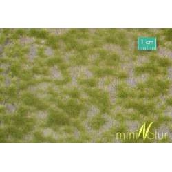 MiniNatur 727-21 MS - zweifarbige Federbüschel