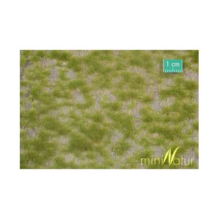 MiniNatur 727-21 MS - two-tone spring tufts