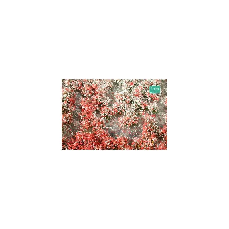 MiniNatur 726-22 MS - Sommerblume