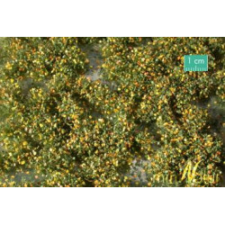 MiniNatur 725-23 MS - Unkrautbüschel, Frühherbst