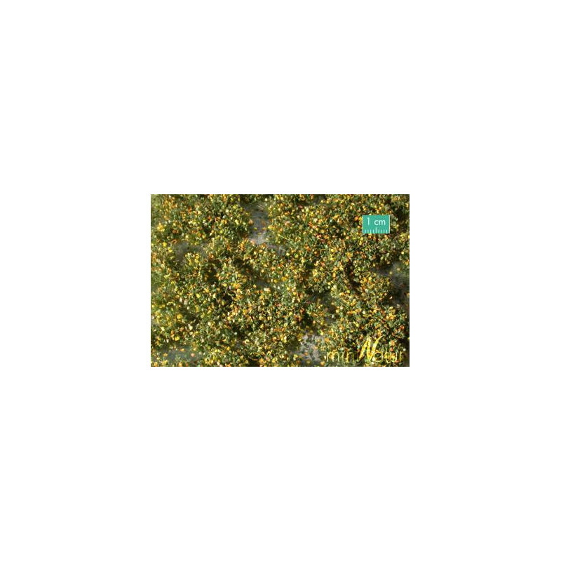 MiniNatur 725-23 MS - Touffes de mauvaises herbes, début d'automne