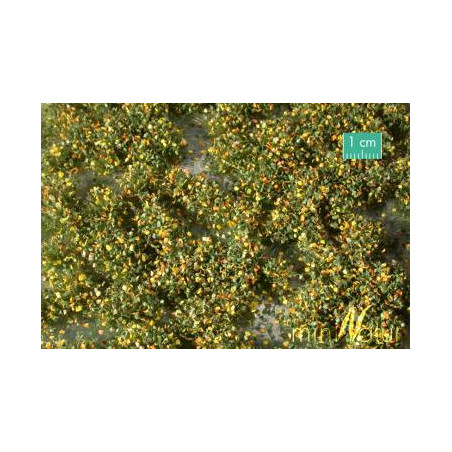 MiniNatur 725-23 MS -Weed tufts, early fall