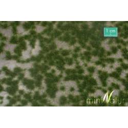 MiniNatur 737-22 MS - summer tufts