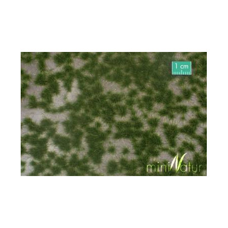 MiniNatur 726-21 MS - spring tufts