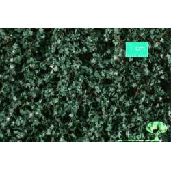 MiniNatur 936-12 MS -Sommerefeu  1/160