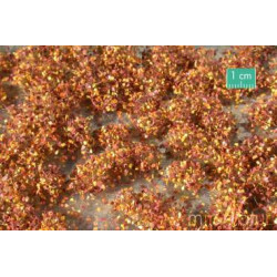 MiniNatur 725-24 MS - Weed tufts, late fall